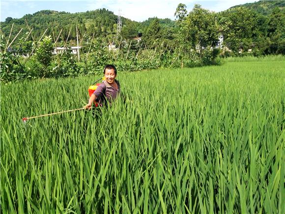 大足成重慶市農(nóng)村綜合性改革首批示范區(qū)縣