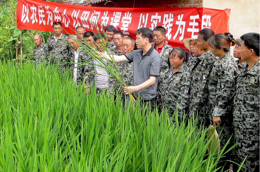 保障糧食安全生產(chǎn)的問題及實(shí)踐——以重慶市梁平區(qū)為例